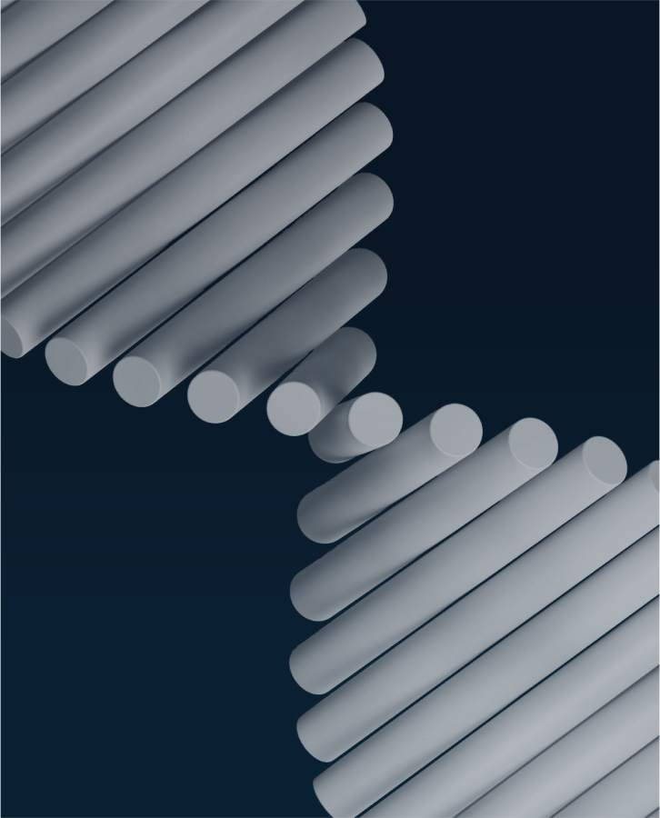 Descriptive Image